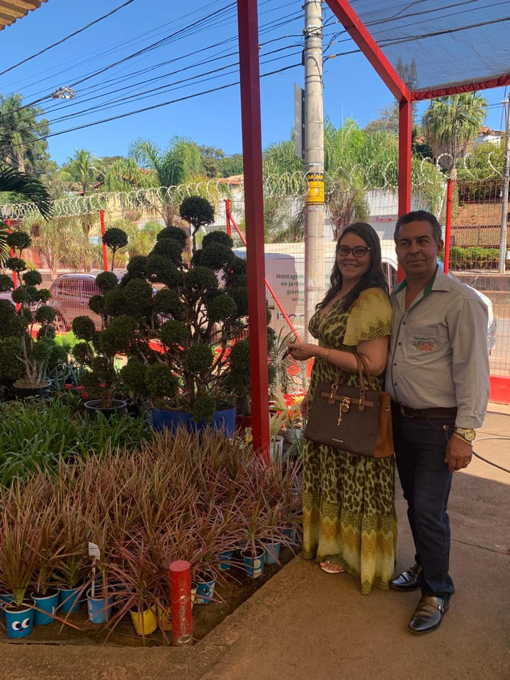 Atendimento na Floricultura Visual Verde entre plantas ornamentais
